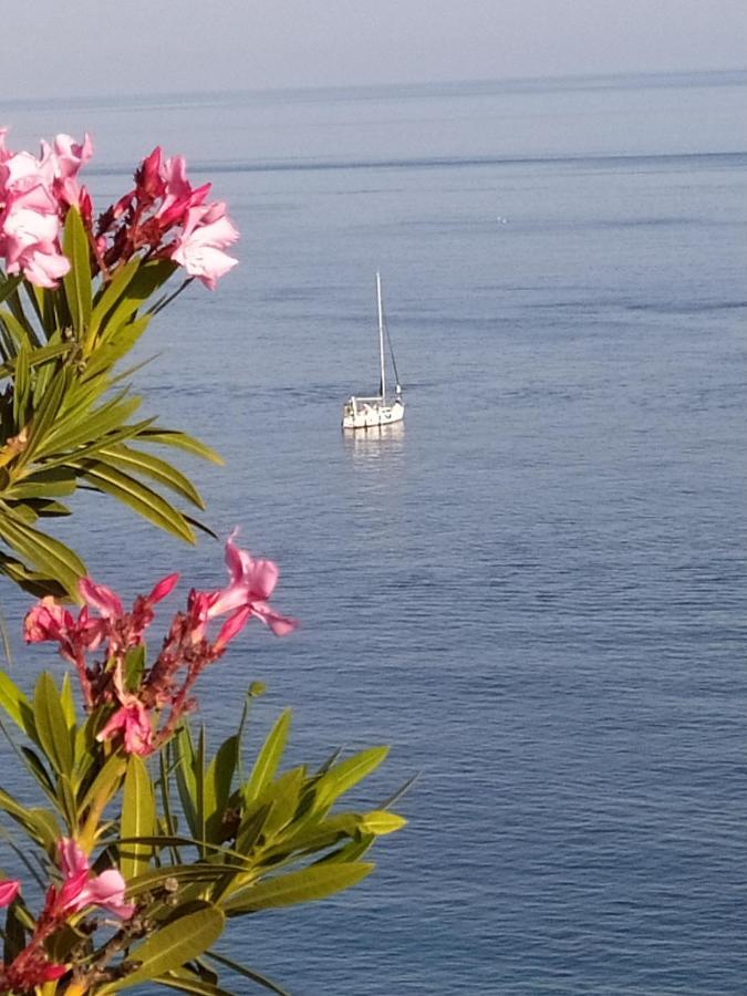 Las Palmeras Almuñécar Εξωτερικό φωτογραφία