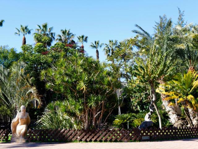 Las Palmeras Almuñécar Εξωτερικό φωτογραφία